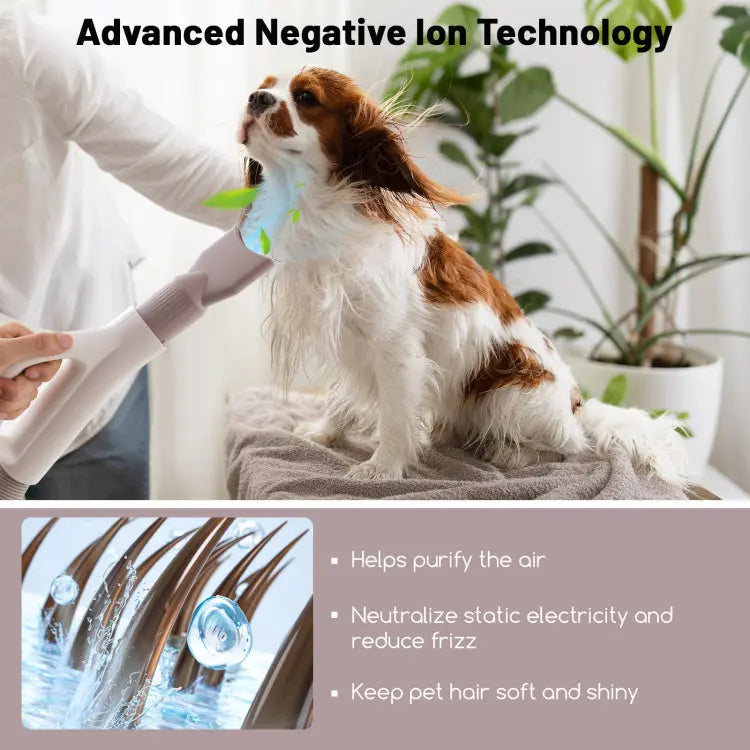 COSTWAY Dog Dryer, Dog Blow Dryer with Adjustable Speed, Airflow, and Temperature, Negative Ion Function, Overheat Protection, High Velocity Dog Hair Dryer for Pet Grooming with 4 Nozzles