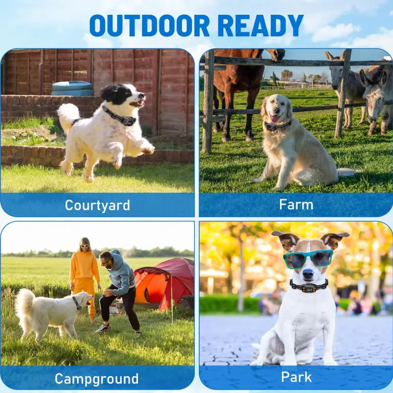 TQT GPS Wireless Dog Fence, 3 Warning Modes, Radius 25-999 Yards, IPX7 Waterproof Collar, Electric Fence for Dogs, Pet Containment System, Outdoor Use, for Dogs Over 16 Lbs