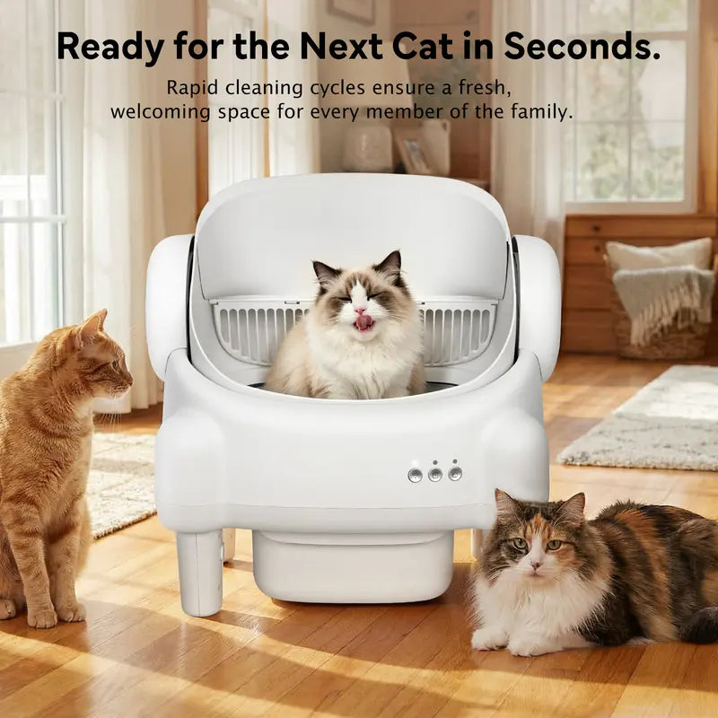 Premium Edition | TAYACICY Smart Self-Cleaning Litter Box for Multiple Cats | 10.5L Bin, Open-Top Design, Dual Safety Sensors, Cat Litterbox (Only Supports 2.4G WiFi),back to school