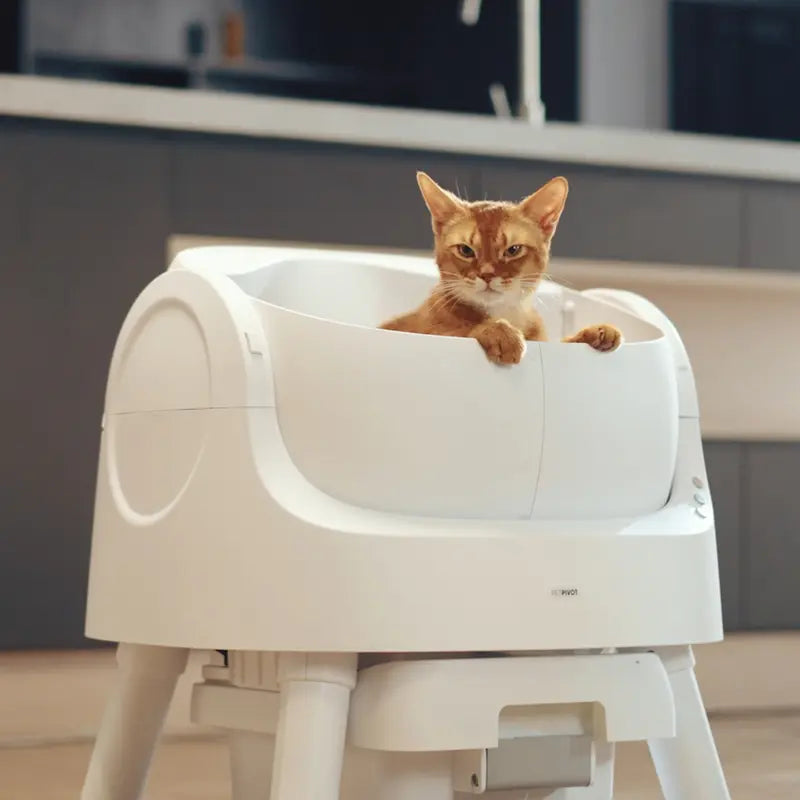 PetPivot AutoScooper Open-Top Automatic Self-Cleaning Cat Litter Box - Pull & Wrap, Odor-Free, Sealed Drawer Odor Traps, Up to 14 Days Scoop-Free, 6.5L/1.72Gal & 7L/1.85Gal Capacities, Limited-Time 80 Total Waste Bags (Extra 60 Included), Sohochic