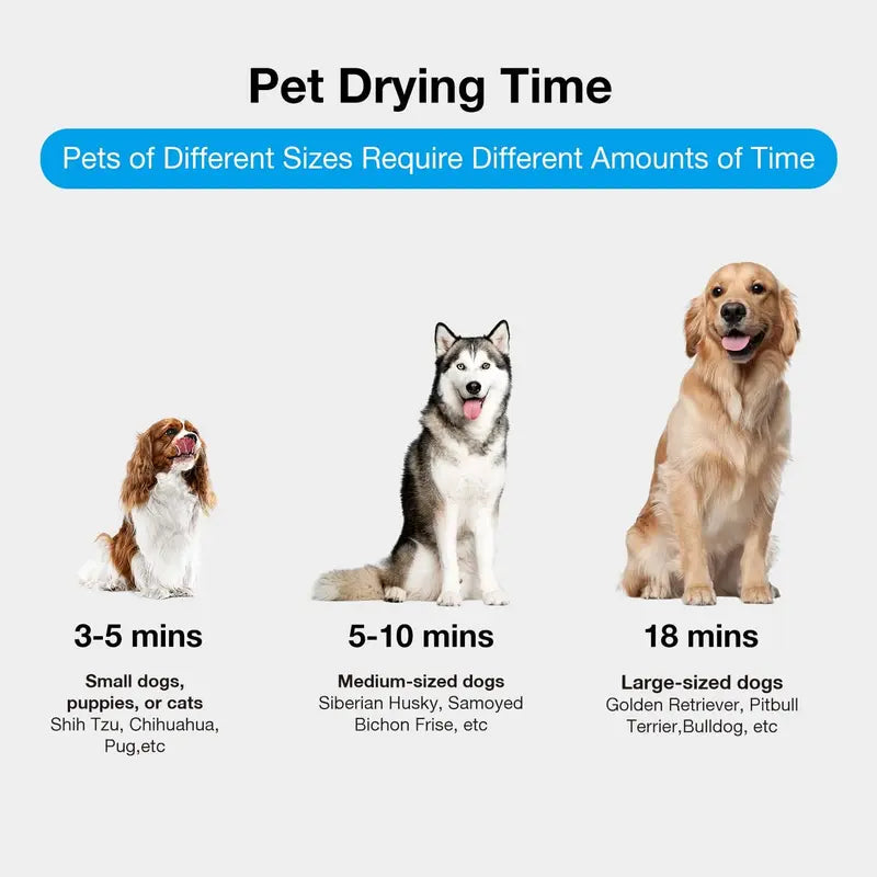 Petaboo Dog Dryer Super Quiet 40db Dog Blow Dryer PetGrooming High-velocity Force Blower with 3 Nozzles Adjustable Speed and Temperature Dog Hair Dryers for Grooming